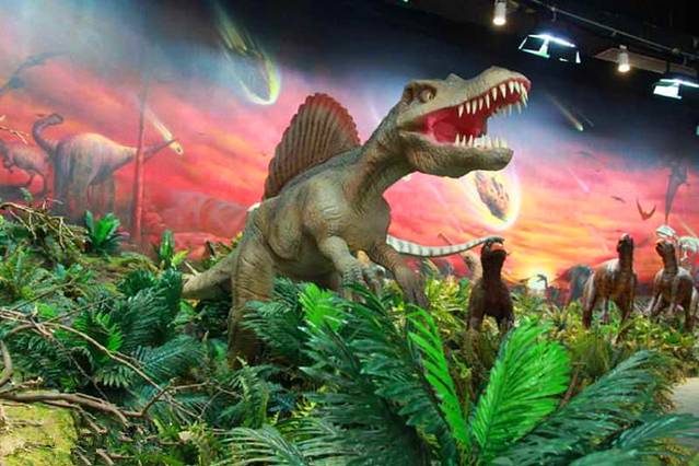 猛犸象开心城堡