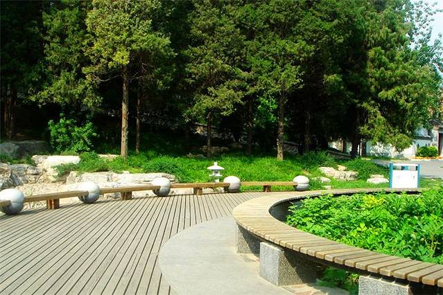 京城体育场郊野公园