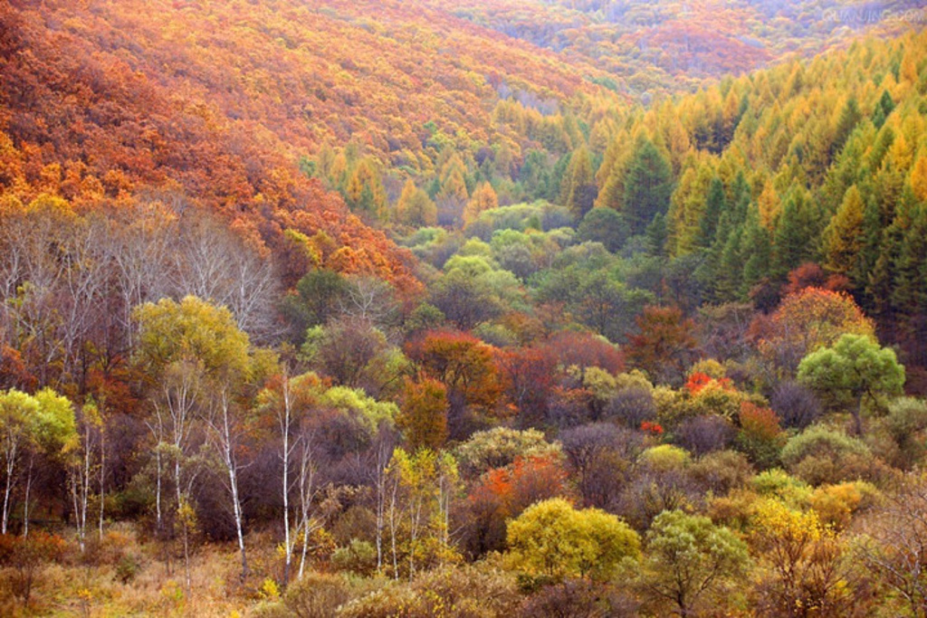 兴安盟周边旅游景点,兴安盟景点,兴安盟旅游(第20页)_大山谷图库