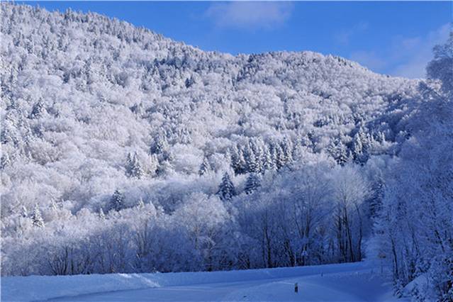 吉林延边仙峰国家森林公园
