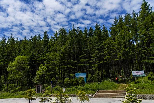 平河梁森林公园