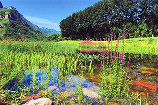 雁翅九河湿地公园