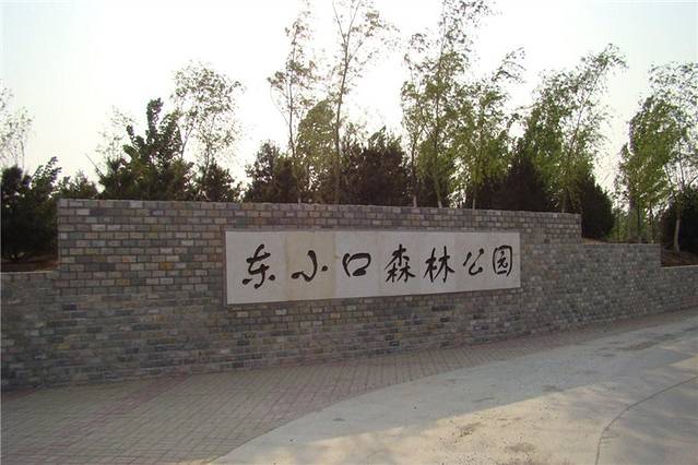 东小口森林公园