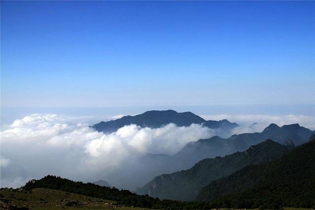 沁水历山国家原始森林公园