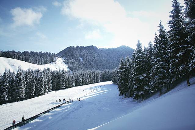 南山南滑雪场