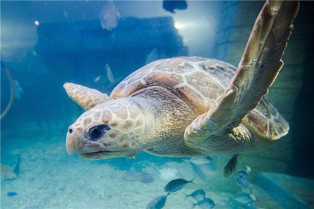 阜阳海洋文化科技馆