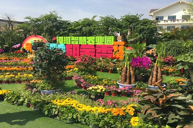 泾河智慧农业园