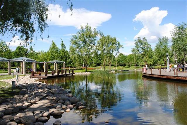 阳光星期八公园