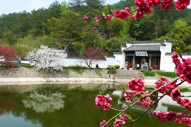 安吉报福江南桃花源