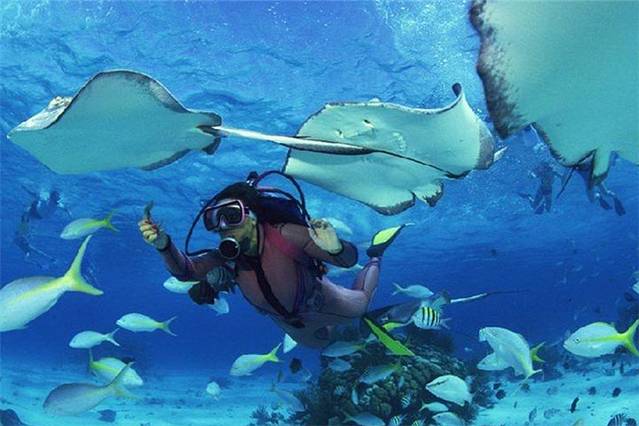 2019涠洲岛潜水门票,涠洲岛涠洲岛潜水游玩攻略,涠洲岛潜水游览攻略路线\/地址\/门票价格-【去哪儿攻略】