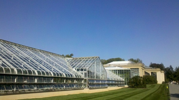THE CONSERVATORY