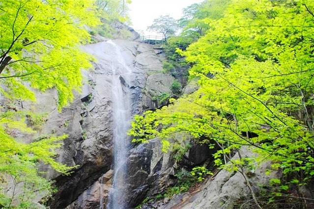 南召大宝天曼度假区