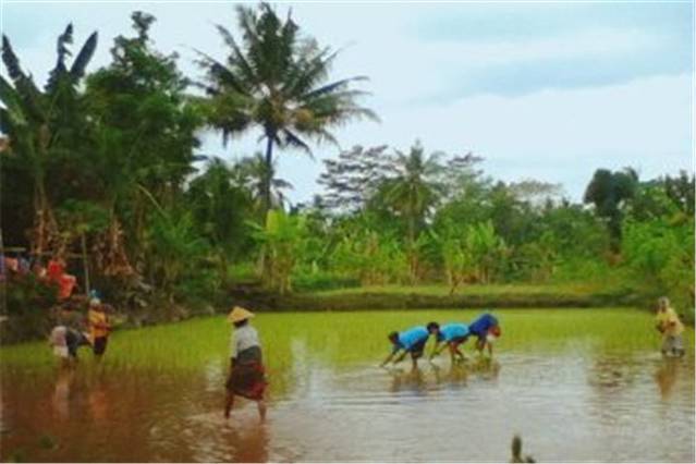 卡留朗森林公园