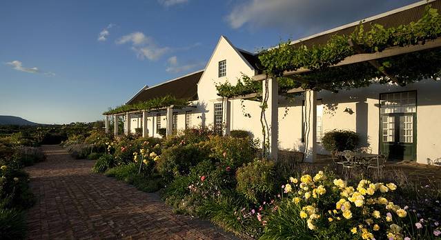 The Armilla Blanc de Blanc