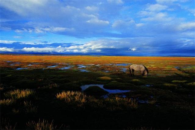 贡赛尔喀木道湿地公园