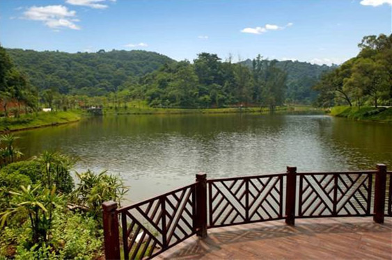 浔峰山生态公园