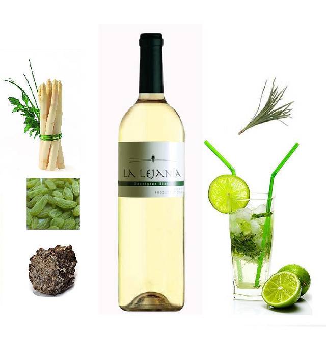 SAUVIGNON BLANC