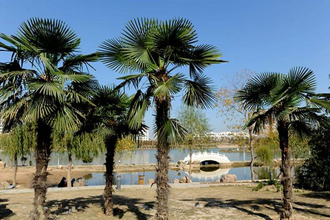 漯河市沙澧河风景区