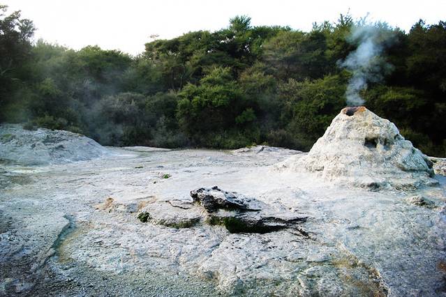 Lady Knox Geyser 间歇泉