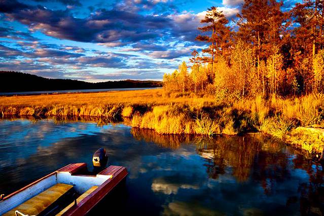 达尔滨湖国家森林公园