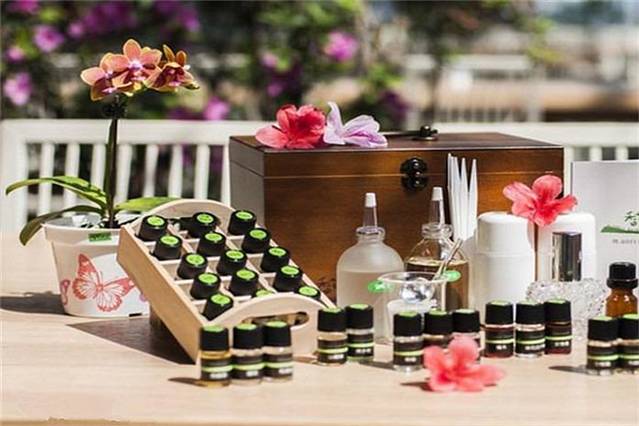 香草菲菲 芳香植物博物馆