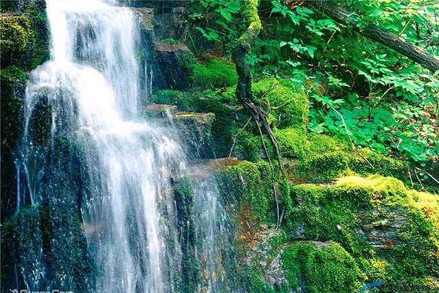 金刚台猫耳峰景区