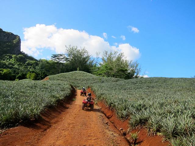 奥普诺胡农学院