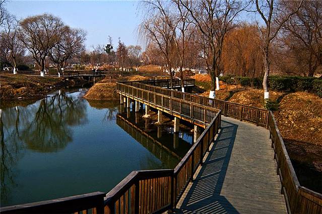 七桥瓮生态湿地公园