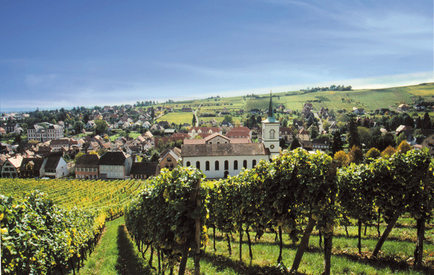 MAISON BLANC DE NOIR