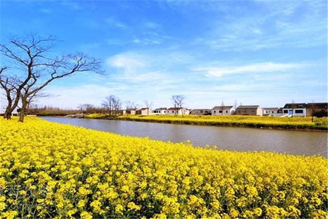 常阴沙生态农业度假区