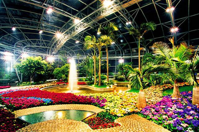 展览温室