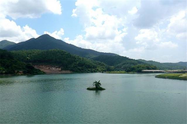 南海湾森林生态园