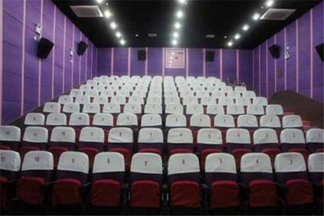 沧州盐山凤凰影剧院