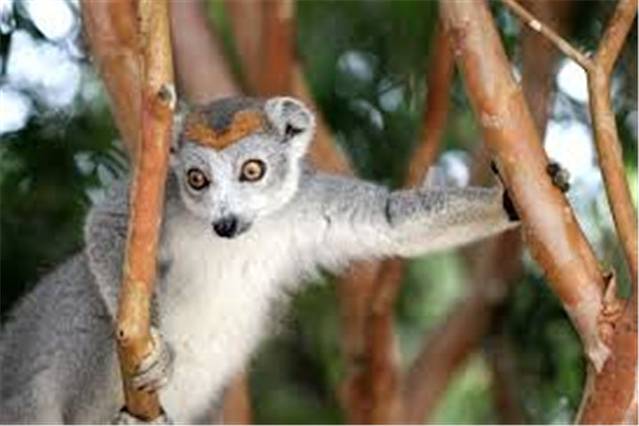 昂纳西贝国家森林公园