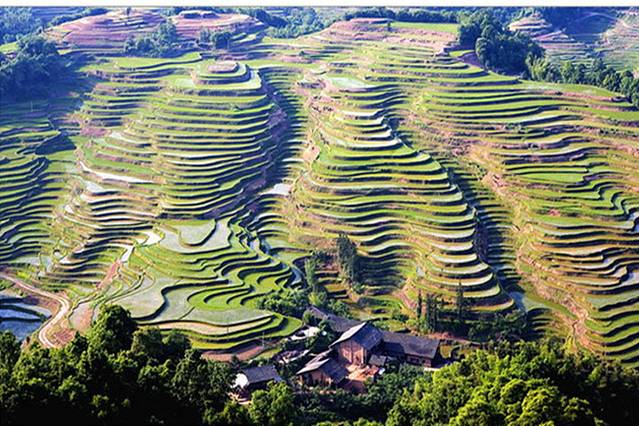 宝源梯田