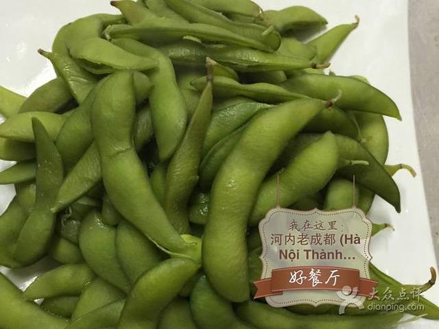 河内老成都川菜