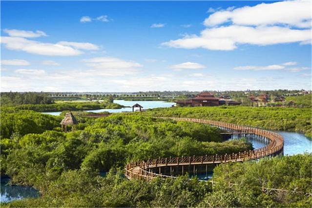 富力红树湾湿地公园