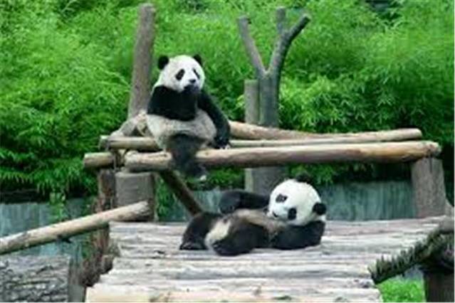 阿德莱德动物园