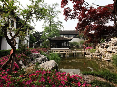 古松园旅游景点图片