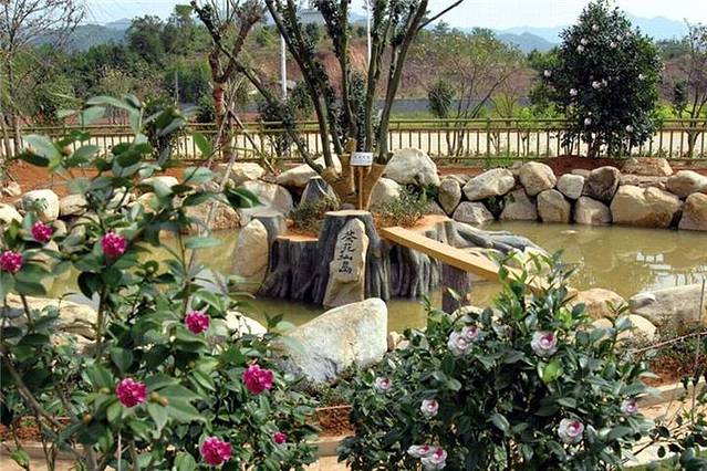 平远曼佗山庄山茶花主题生态园