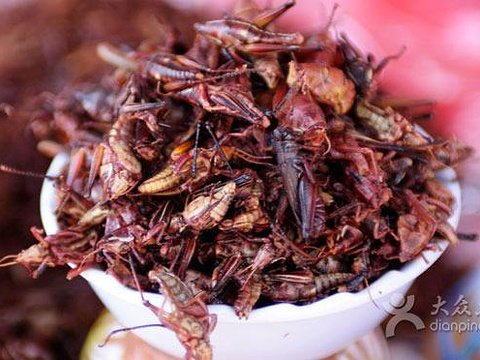 fried grasshopper vendors