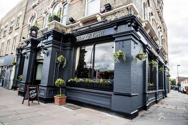 The Springfield Bar and Grill