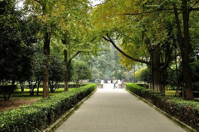 大学路