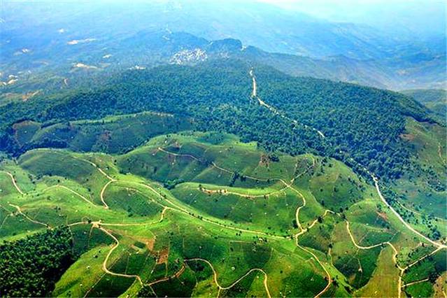 柏联景迈山庄园