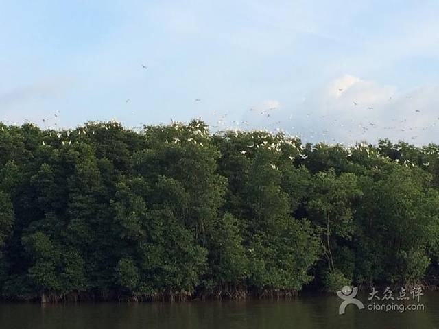 Salut Seafood Restaurant