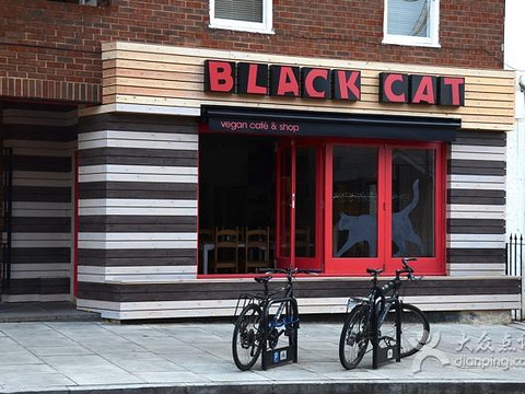 Black Cat cafe旅游景点图片