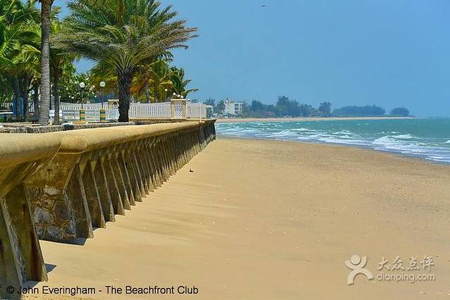 Shoreline Beach Club