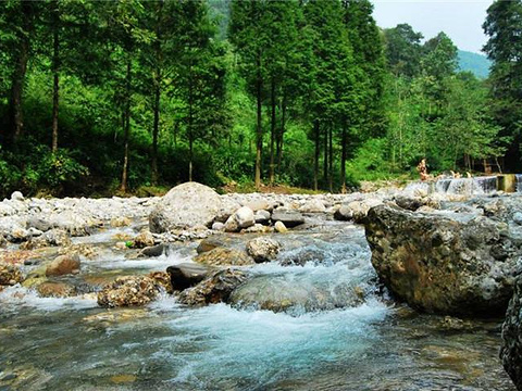 2020王婆岩-旅游攻略-门票-地址-问答-游记点评,成都旅游旅游景点推荐