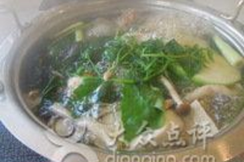 21纯粹食草 楠梓店 攻略 高雄纯粹食草 楠梓店 美食推荐 点评 电话 地址 去哪儿攻略