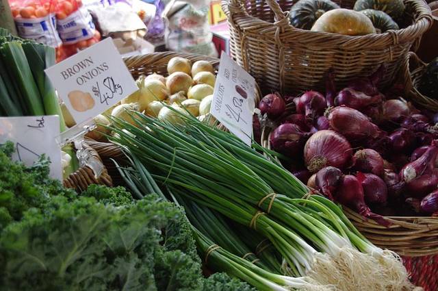 Northey Street Organic Markets